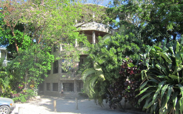 Coconut Tree West Bay