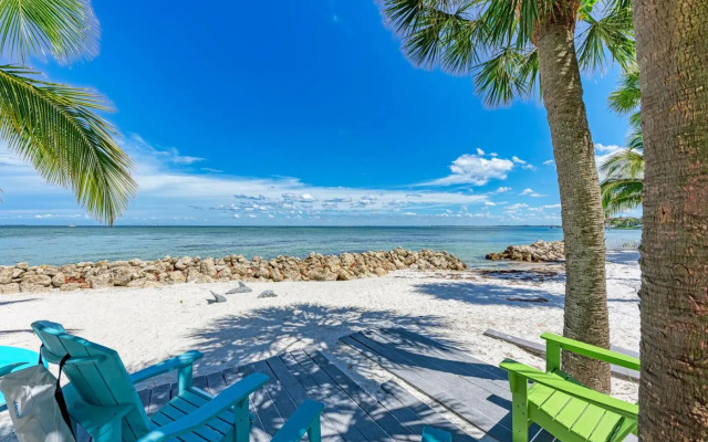 Dolphin Tales - 836 S Bay