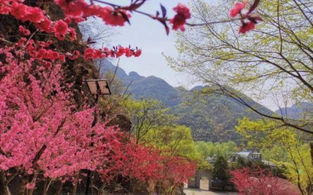 Qingqing Villa (Beijing Qidu Store)