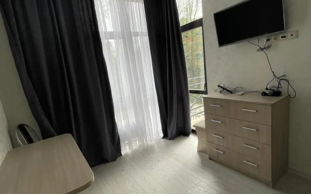 Апартаменты Pluton Aparts в СНТ Агро