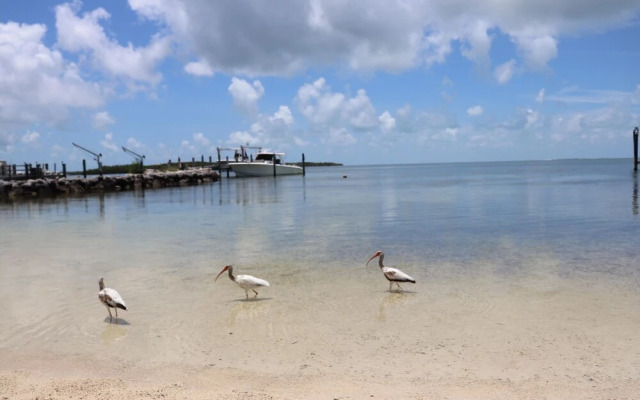 Island Bay Resort