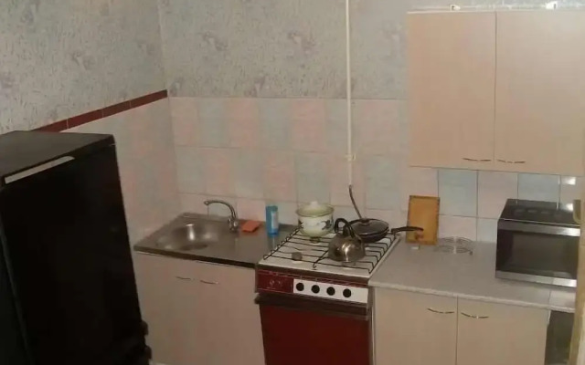 Apartment on Ryleeva 98