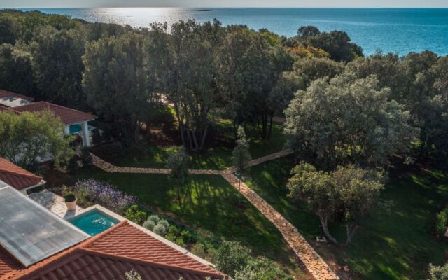 Luxury Beach Villas Porto Bus