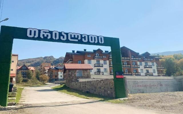 Bakuriani Trialeti Residence Block 1