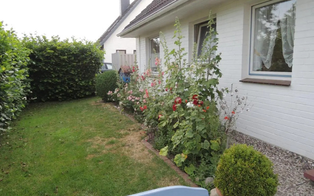 Goden Wind 4