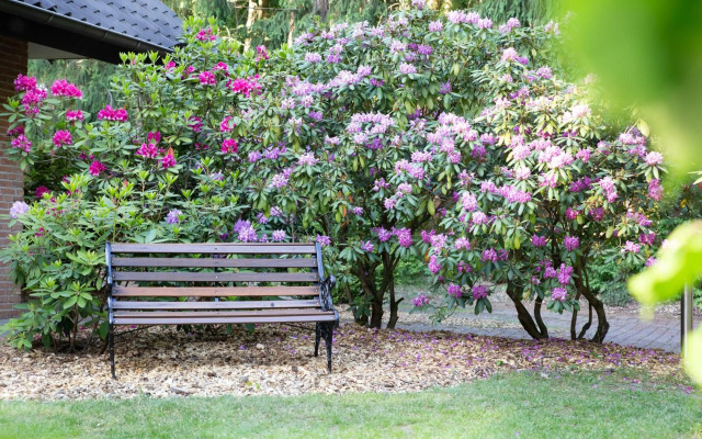 Lüneburger Heide - Ferienwohnung am Höpen