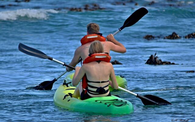 Walkerbay Accommodation