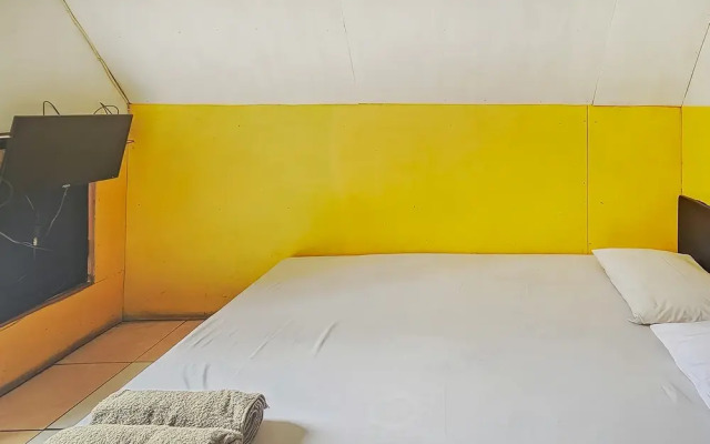 Cigadog Residence RedPartner