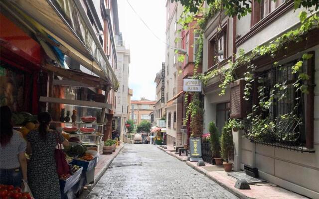 Roya Apartment Taksim - center of the Istanbul