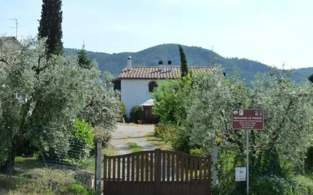 Agriturismo Biologico Le Piagge - Quarrata - Pistoia