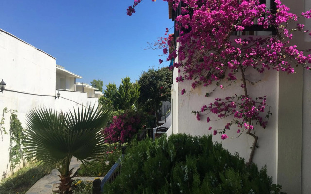 Salinas Beach Hotel Bodrum/Boutique Concept