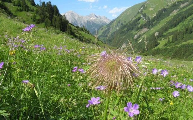 Ferienwohnungen Schlichtherle