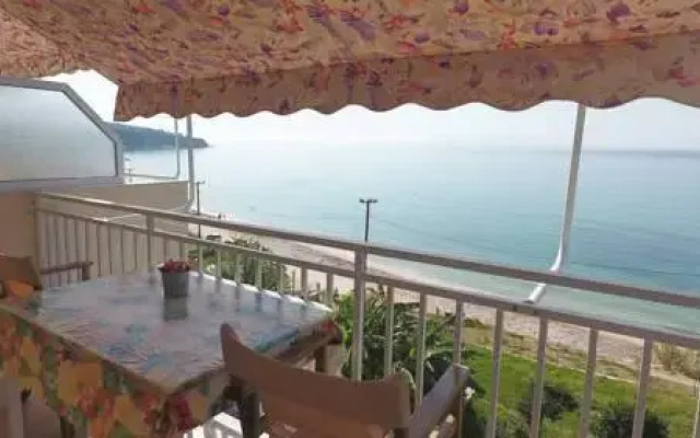 Rosa's ·Beach Studios·