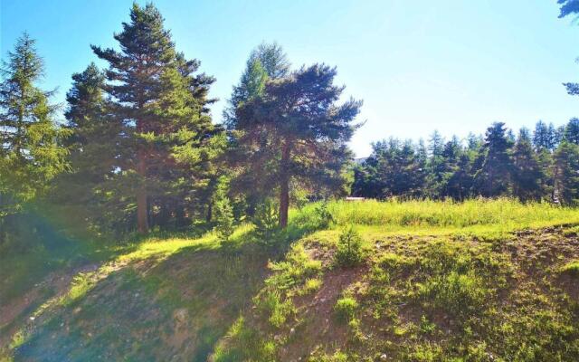 Appartement Le Dévoluy, 2 pièces, 4 personnes - FR-1-504-524