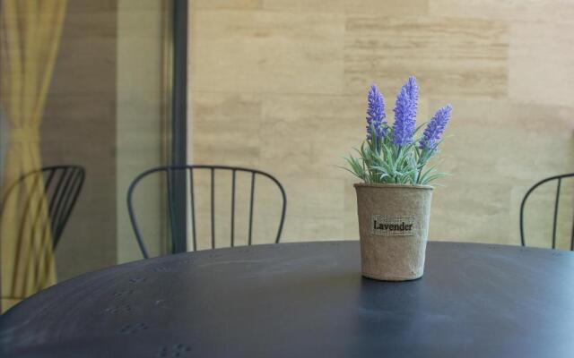 Studio Andrei Mamaia Nord