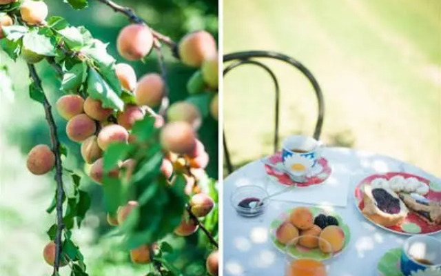 Agriturismo Il Mondo