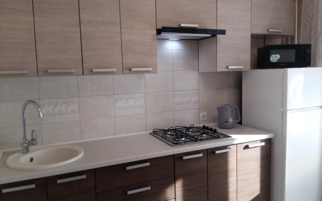 Apartments on 37k1 Chkalova Street