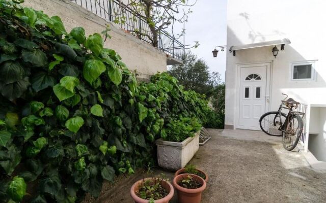 Apartments Villa Nikol