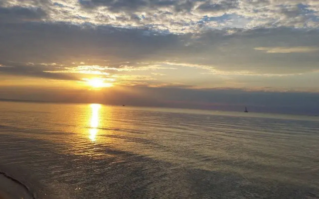 Bee 'n Bee Bed n' Breakfast