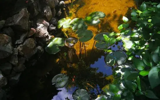 Yueshenghuo Inn