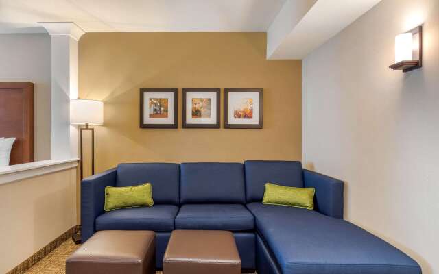 Comfort Inn & Suites Schenectady - Scotia