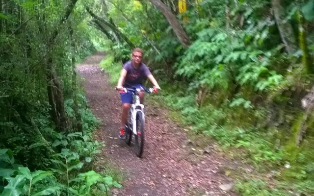 Les Jardins Créoles
