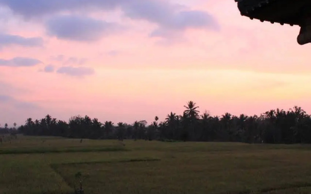 Villa Mangku in Ricefield
