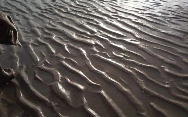 Feriendomizil-Usetom