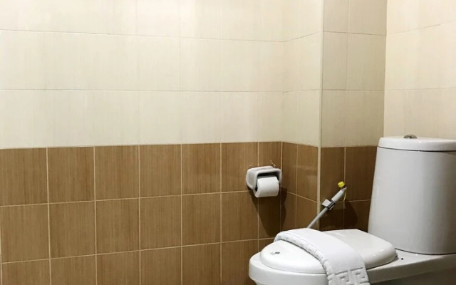 勋章菊酒店(Gazania)