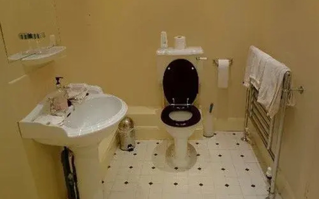 Border Forest Lodges