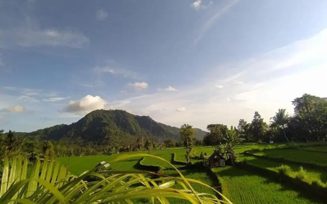 Ume Dukuh Home Sidemen