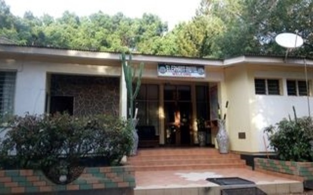 Elephant Motel