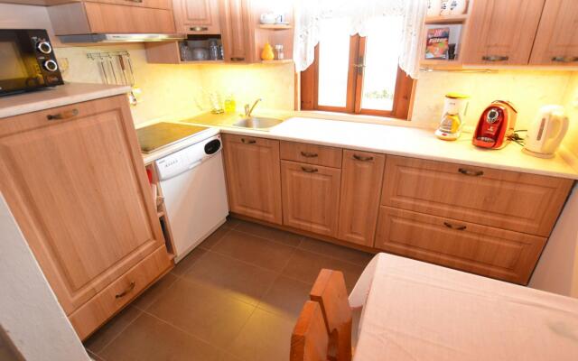 Holiday Home in Petrohrad With Private Pool