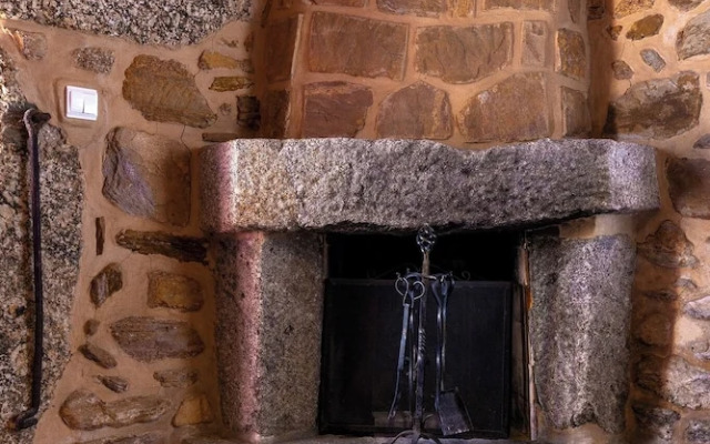 Raízes da Vinha - by Matias Nature