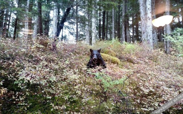 Pearson's Pond Luxury Inn & Spa