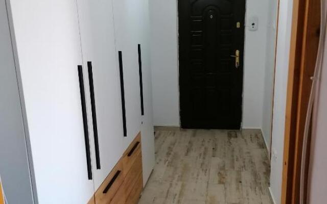 New Insomnia Studio