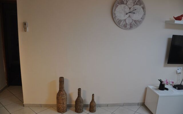 Isra Home Apartment Sokolov 10