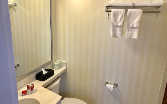 Econo Lodge Lake Region