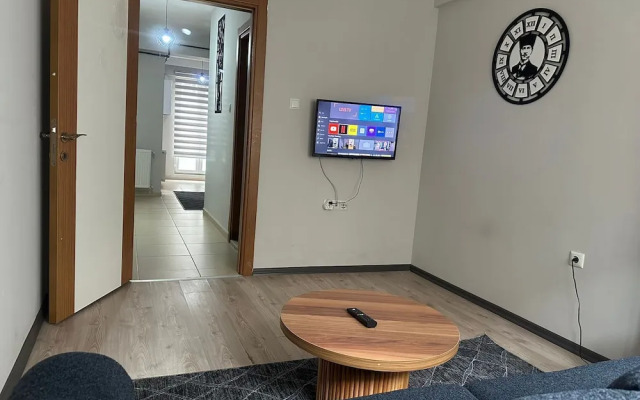 Vibe Suite