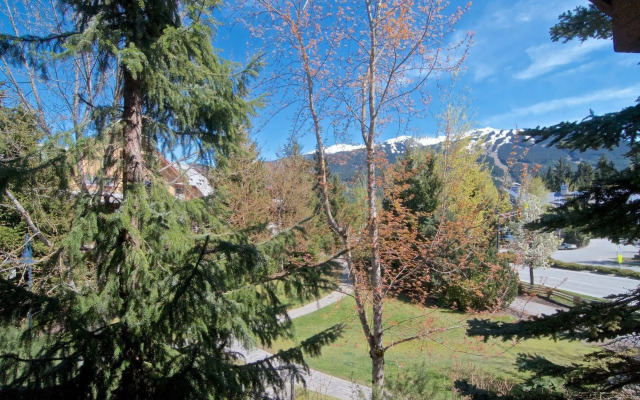Whistler Blackcomb Vr At Glaciers Reach