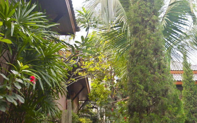 Zea Za Garden