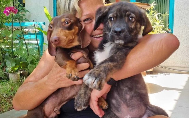 Hobi Hostel Bar & Lounge