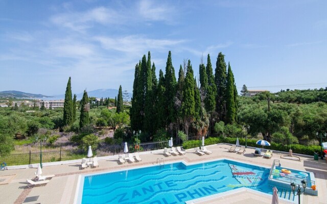 Zante Dolphin III Alykes