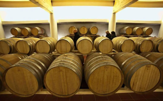 Cincinnato Wine Resort