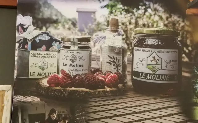 piccolo casale a "le Moline" in una vera fattoria