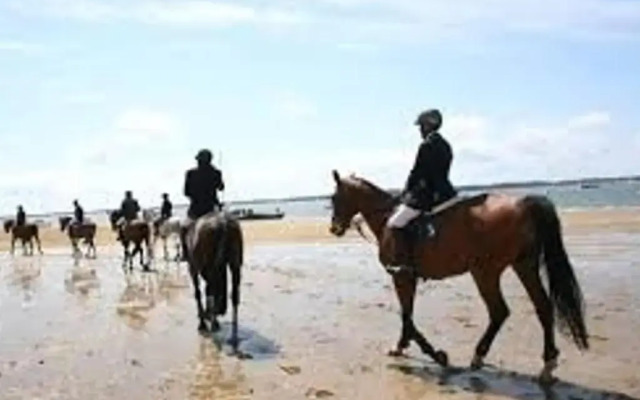 Appartement Arcachon, 3 pièces, 4 personnes - FR-1-374-52