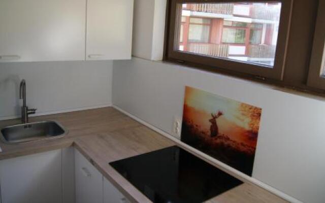 Ferienappartement Schwarzwaldbub