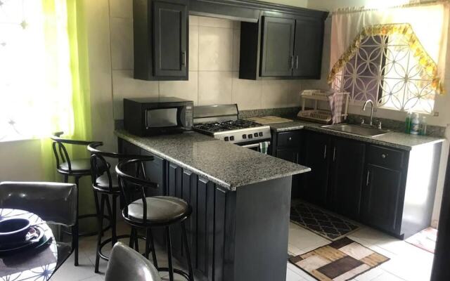 Impeccable 2-bed House in Montego Bay