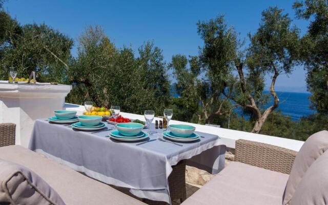 Paxos Blue