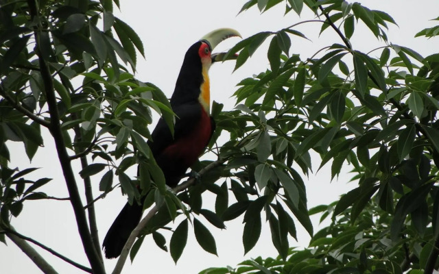 TOCA DA TARTARUGA Ecovillage Ilhabela
